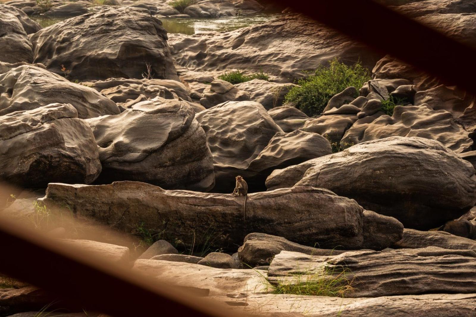 Leo Woods Hampi River View Ξενοδοχείο Εξωτερικό φωτογραφία